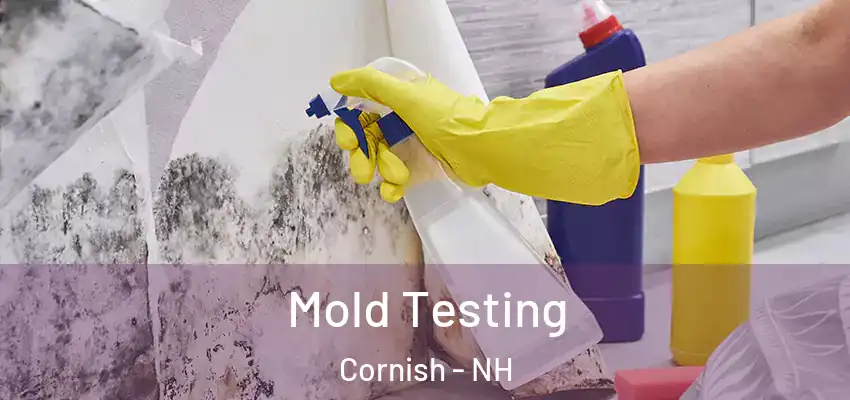  Mold Testing Cornish - NH