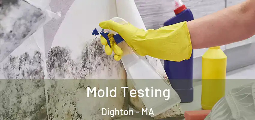  Mold Testing Dighton - MA
