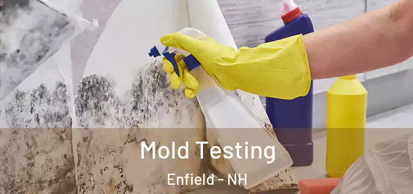  Mold Testing Enfield - NH