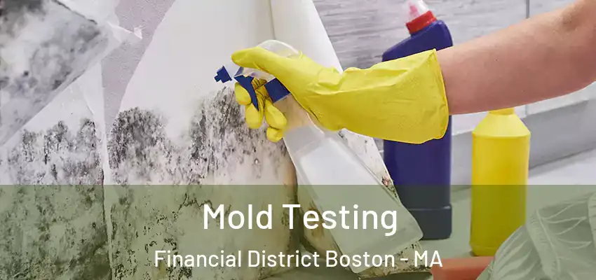  Mold Testing Financial District Boston - MA