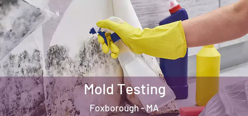 Mold Testing Foxborough - MA