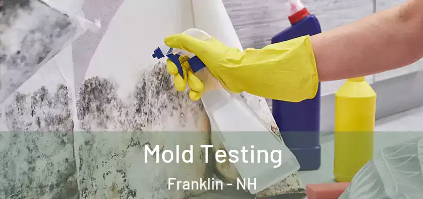  Mold Testing Franklin - NH