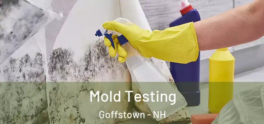  Mold Testing Goffstown - NH