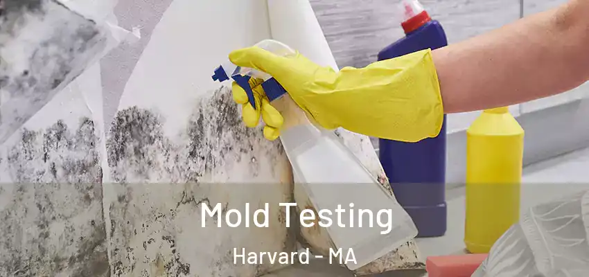  Mold Testing Harvard - MA