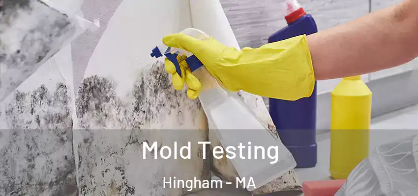  Mold Testing Hingham - MA