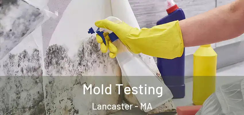  Mold Testing Lancaster - MA