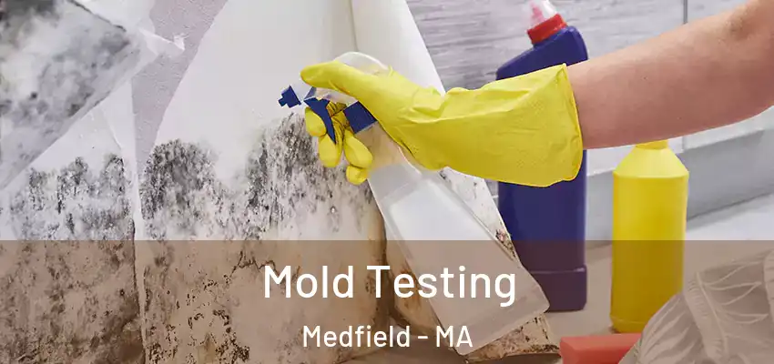  Mold Testing Medfield - MA