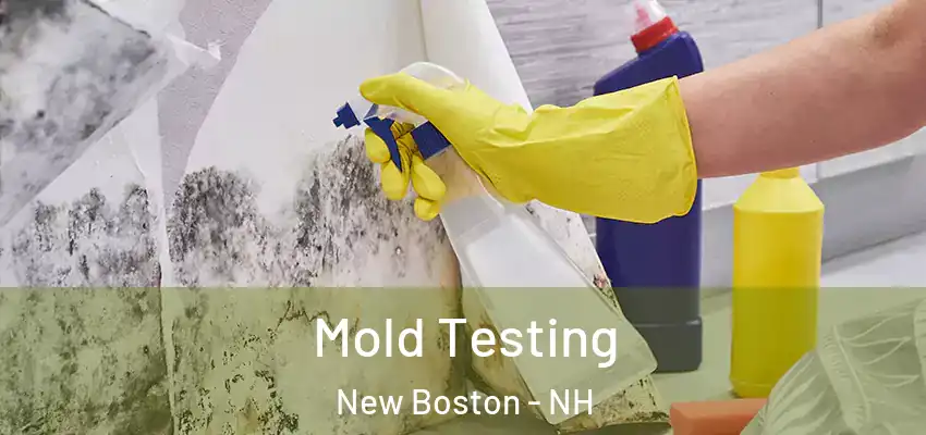 Mold Testing New Boston - NH