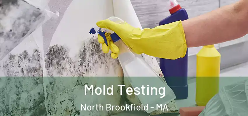  Mold Testing North Brookfield - MA