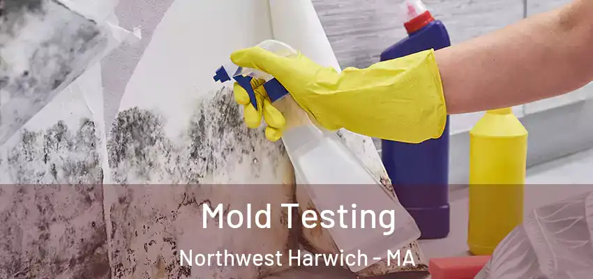  Mold Testing Northwest Harwich - MA
