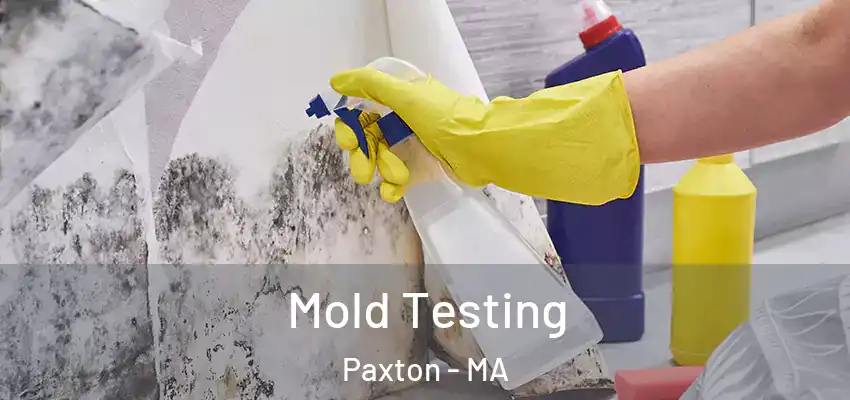  Mold Testing Paxton - MA