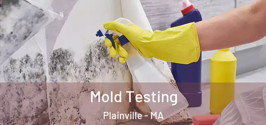  Mold Testing Plainville - MA
