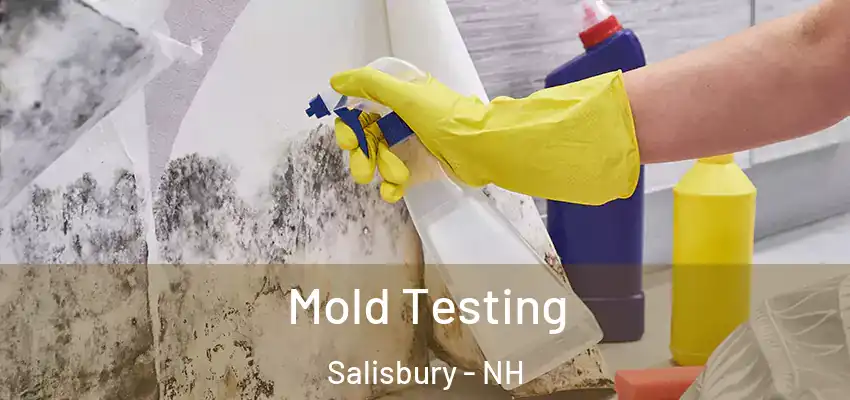  Mold Testing Salisbury - NH
