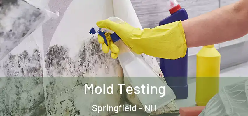 Mold Testing Springfield - NH