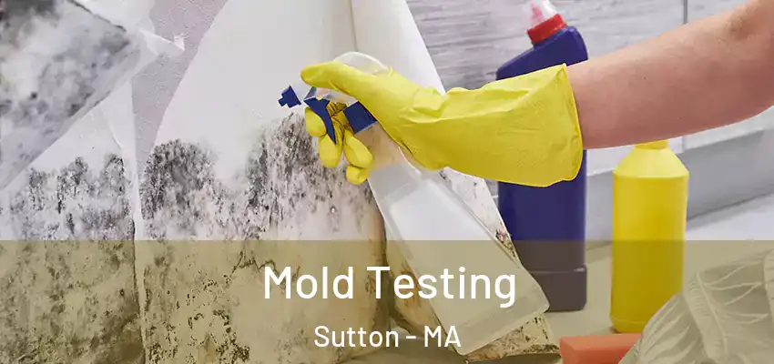 Mold Testing Sutton - MA