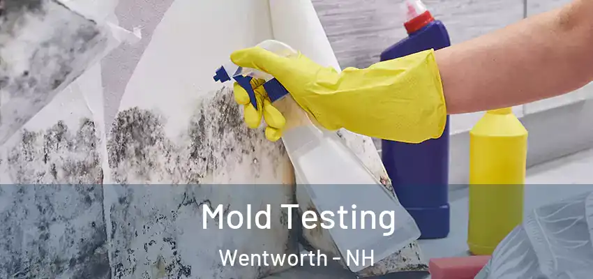  Mold Testing Wentworth - NH