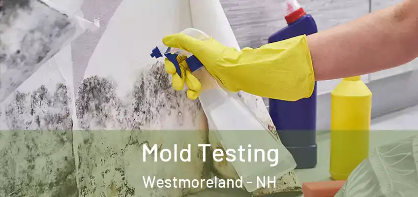  Mold Testing Westmoreland - NH