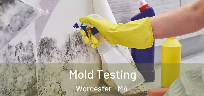 Mold Testing Worcester - MA