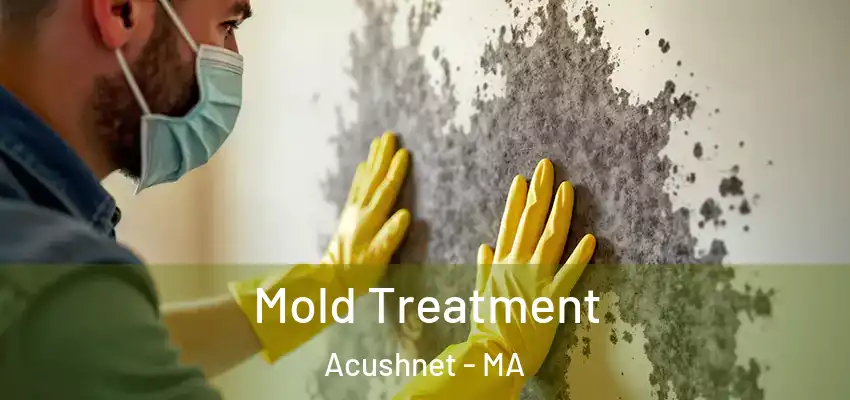 Mold Treatment Acushnet - MA