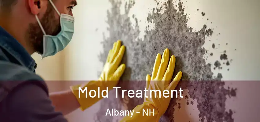  Mold Treatment Albany - NH