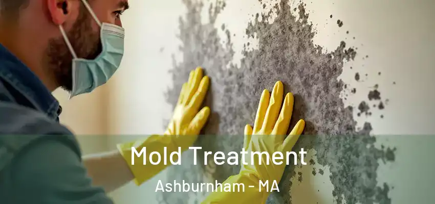 Mold Treatment Ashburnham - MA