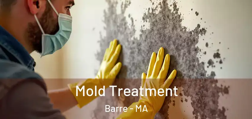 Mold Treatment Barre - MA
