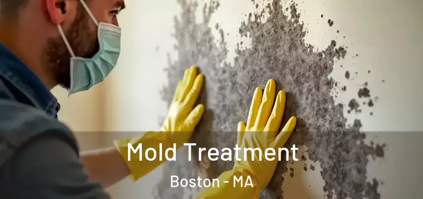Mold Treatment Boston - MA