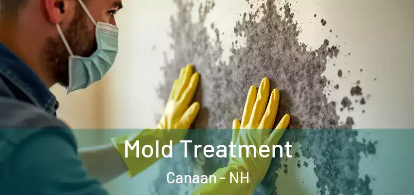 Mold Treatment Canaan - NH