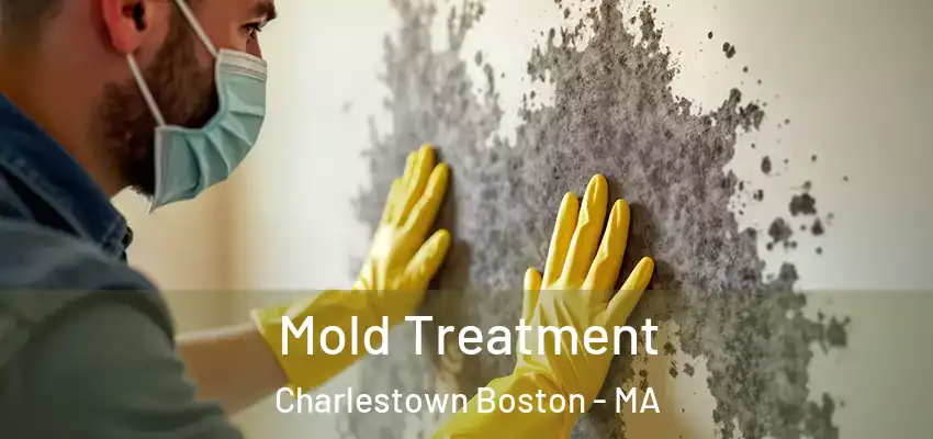 Mold Treatment Charlestown Boston - MA