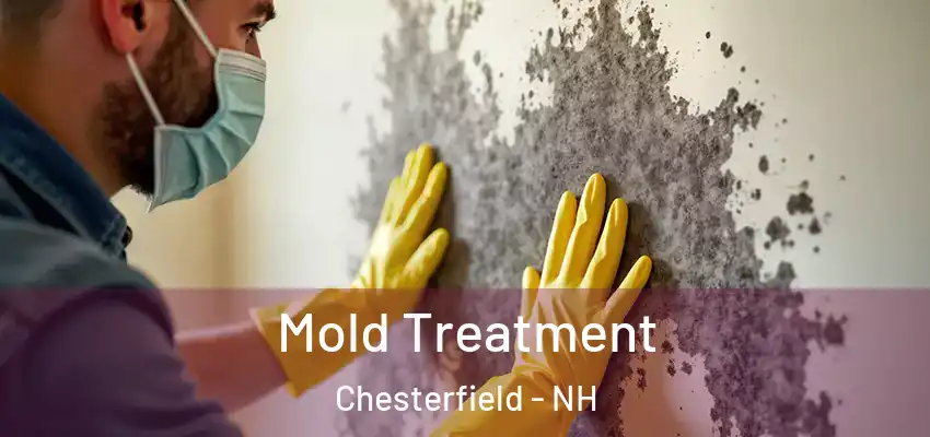  Mold Treatment Chesterfield - NH
