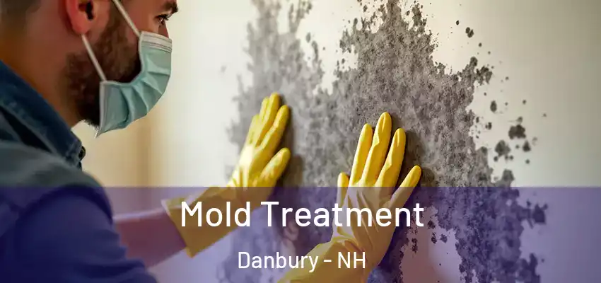  Mold Treatment Danbury - NH