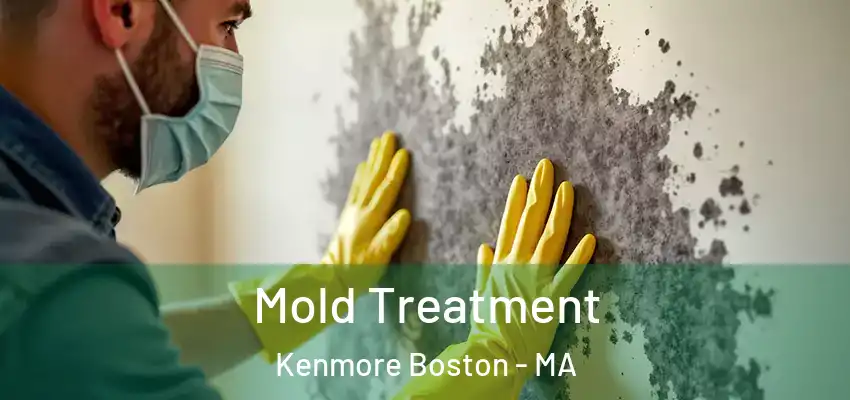 Mold Treatment Kenmore Boston - MA