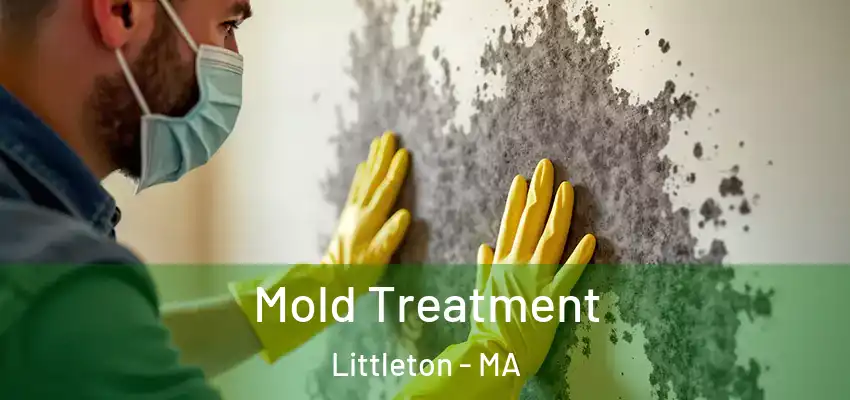 Mold Treatment Littleton - MA