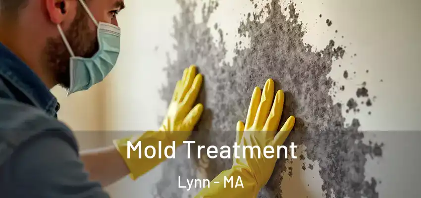  Mold Treatment Lynn - MA