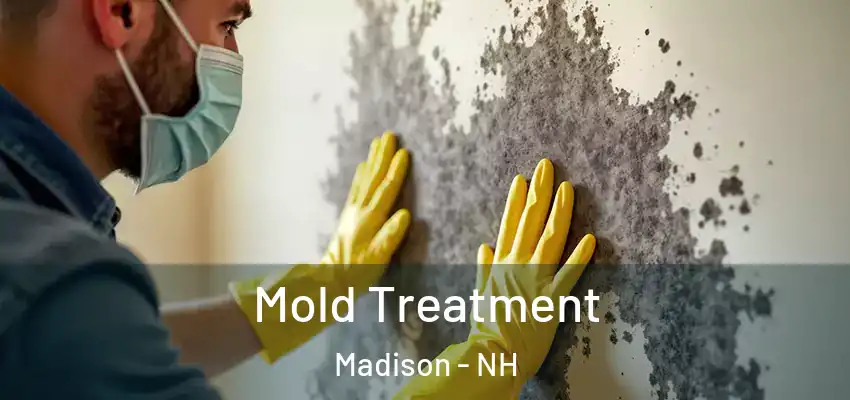 Mold Treatment Madison - NH