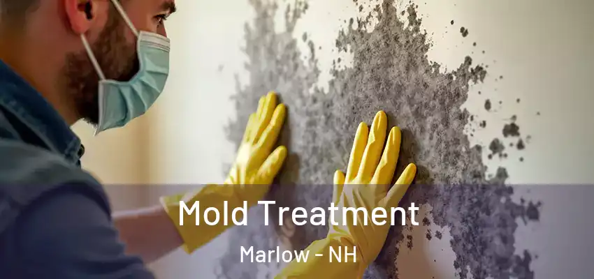 Mold Treatment Marlow - NH