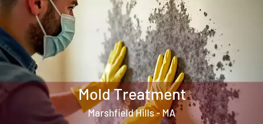 Mold Treatment Marshfield Hills - MA