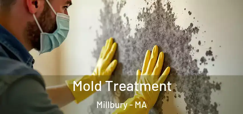Mold Treatment Millbury - MA
