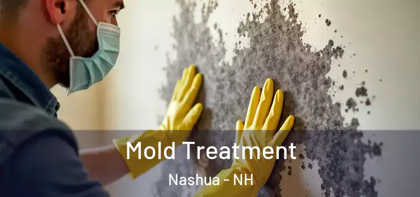  Mold Treatment Nashua - NH