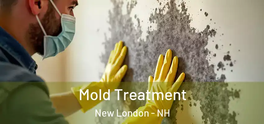  Mold Treatment New London - NH