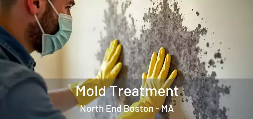  Mold Treatment North End Boston - MA