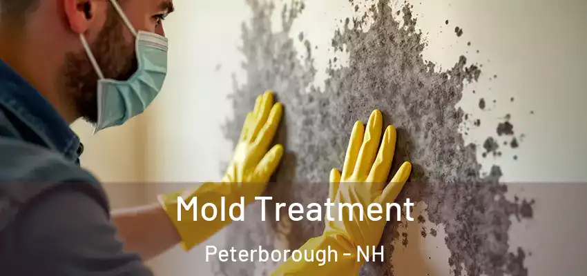 Mold Treatment Peterborough - NH