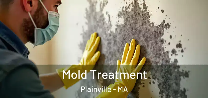 Mold Treatment Plainville - MA