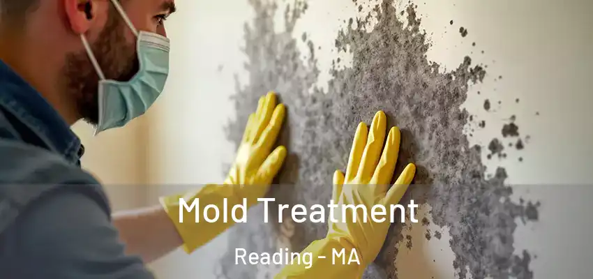 Mold Treatment Reading - MA