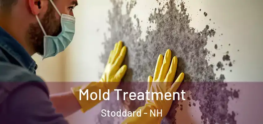 Mold Treatment Stoddard - NH
