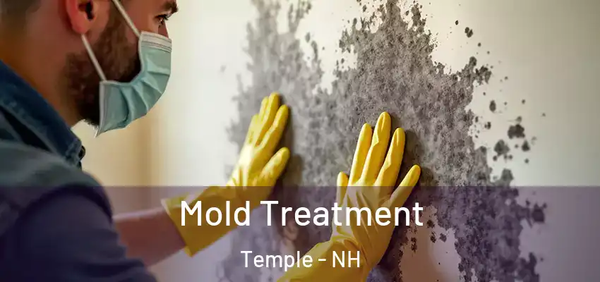 Mold Treatment Temple - NH