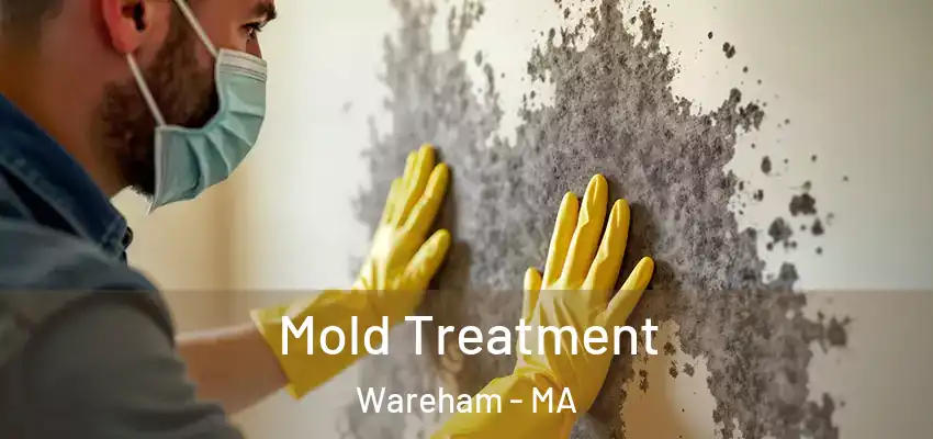 Mold Treatment Wareham - MA
