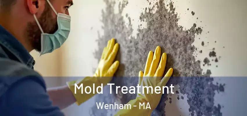 Mold Treatment Wenham - MA