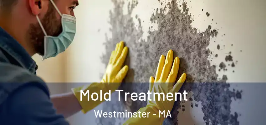  Mold Treatment Westminster - MA