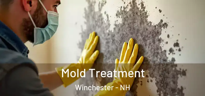  Mold Treatment Winchester - NH